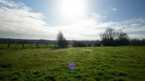 91助手安卓版田园自然风光高清视频素材